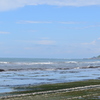 DSC_1166