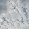 DSC02837