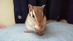 IMG_20230401_124740