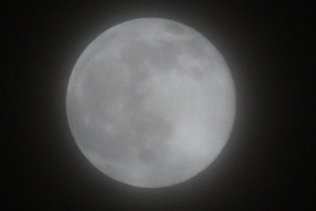 DSC_1091_1