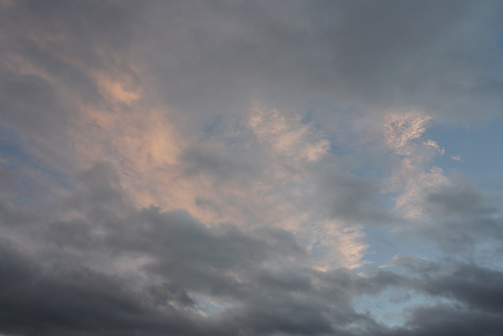 DSC01365_1