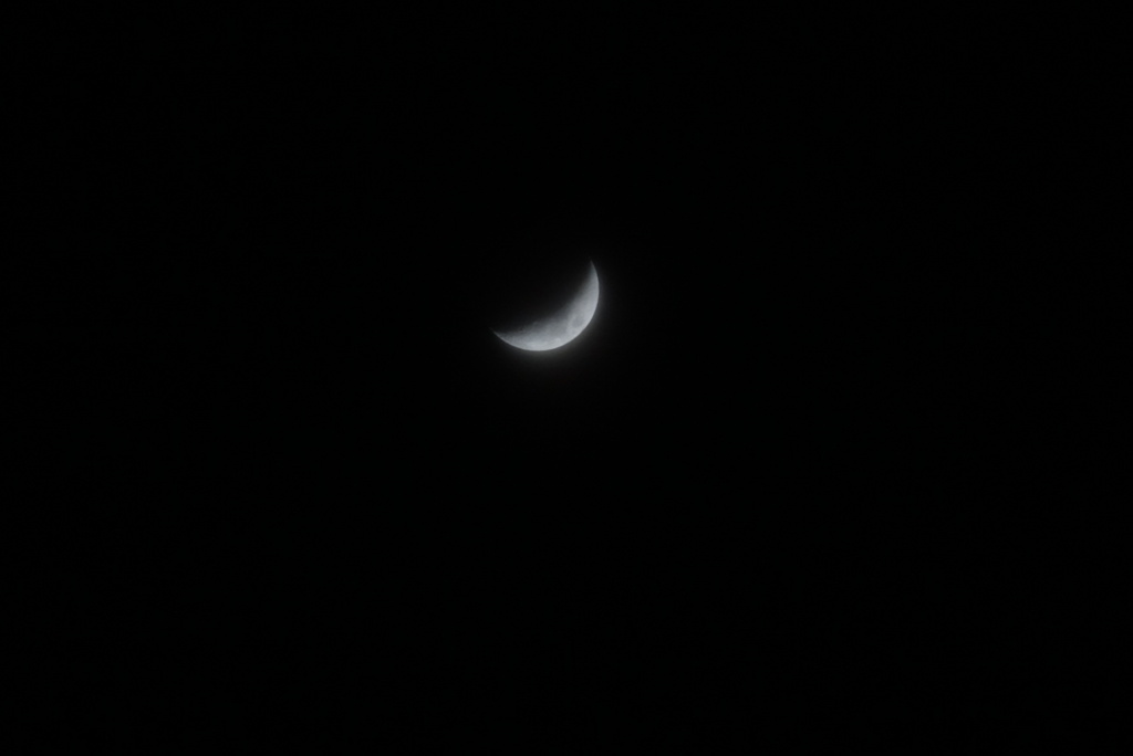 DSC05811