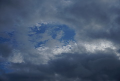 DSC08062_1