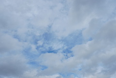 DSC01612_1