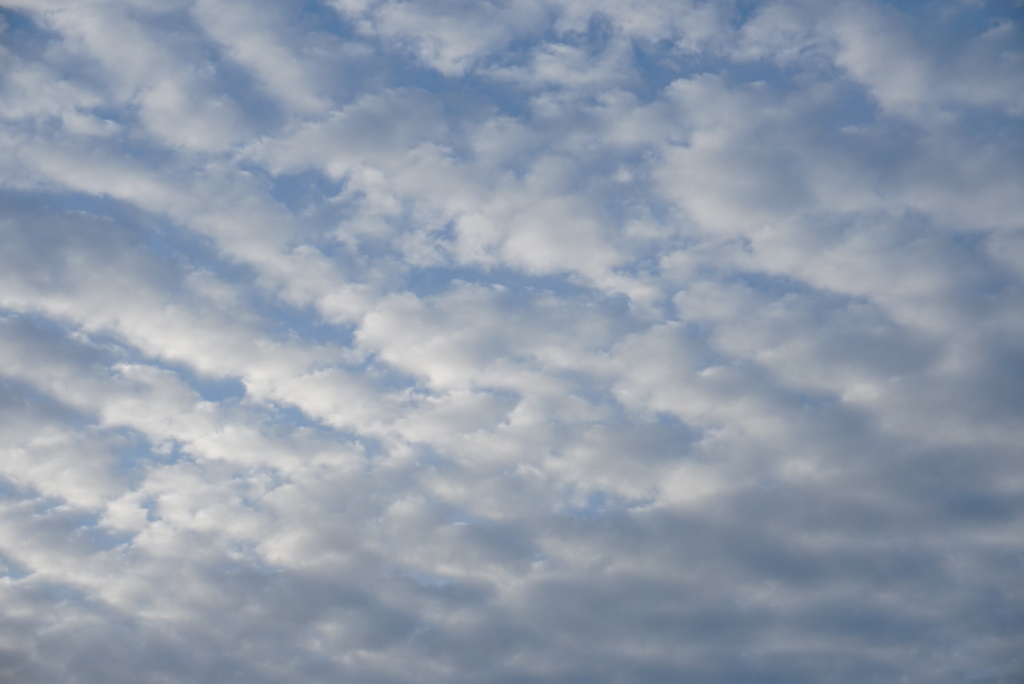 DSC06864_1