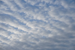 DSC06864_1