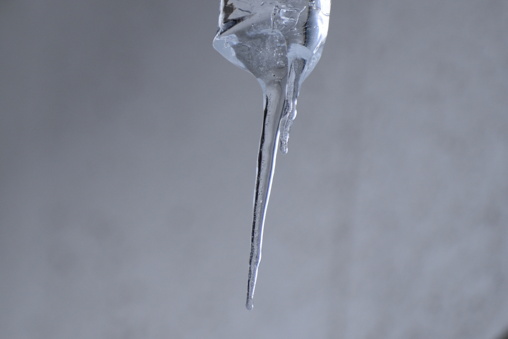DSC_2973_1