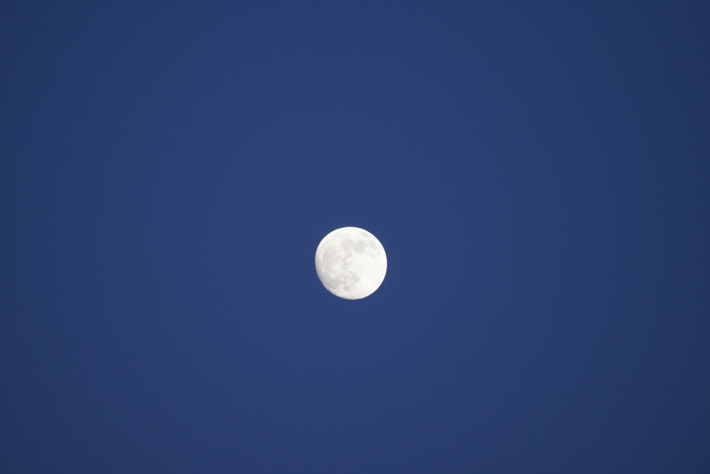 DSC02826_1