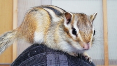 IMG_20230402_130347