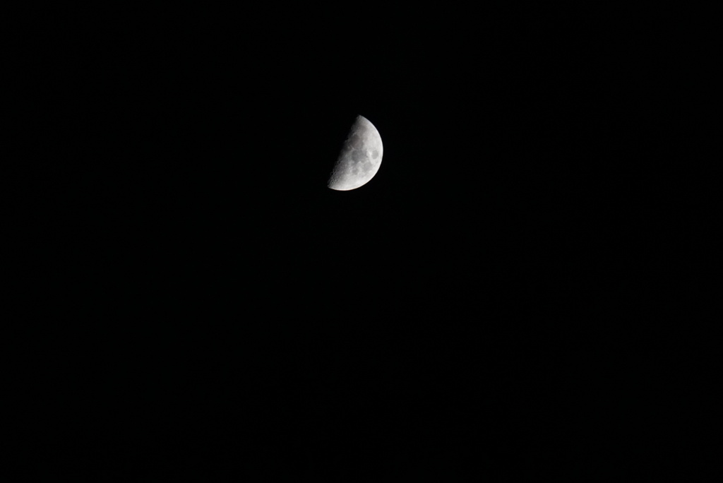 DSC02377_1
