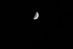 DSC02377_1