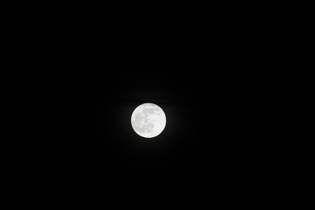 DSC02921