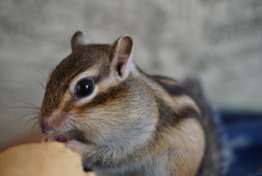 DSC09017