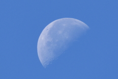 DSC_0677_1