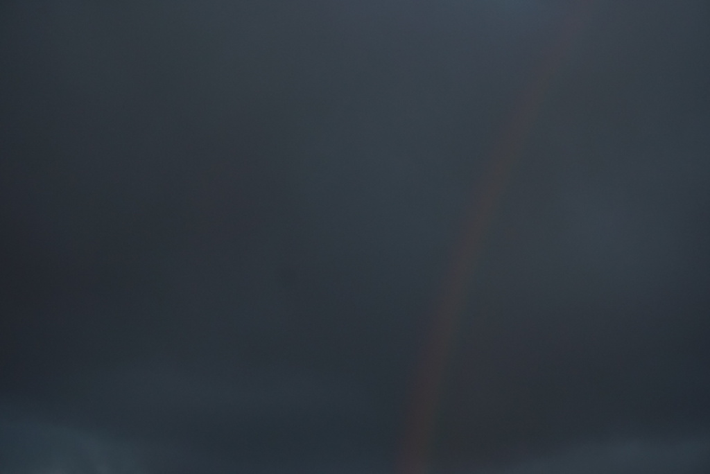 DSC00553_2