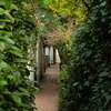 植物トンネル