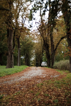 散歩道