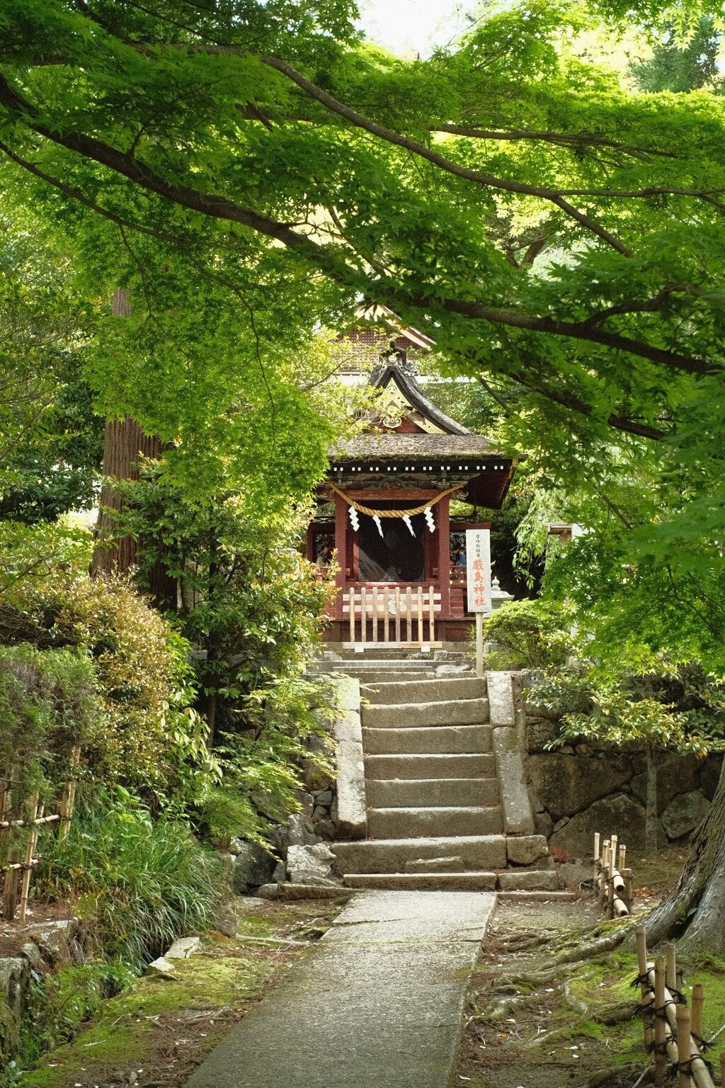 新緑に包まれて