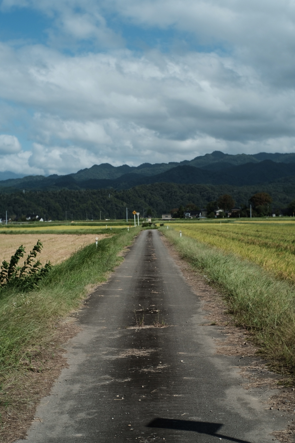 田舎道2
