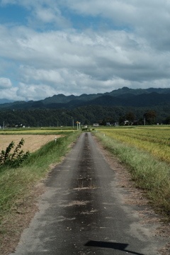 田舎道2