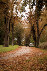 散歩道