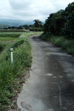 田舎道