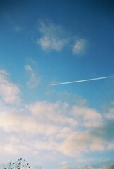 空を泳ぐ
