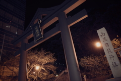 深夜の東京徘徊