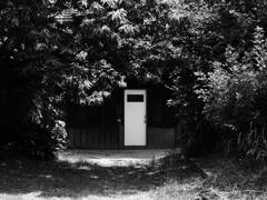 Anywhere Door