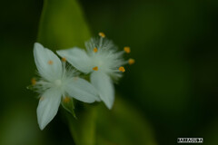 近くの公園にて⑤