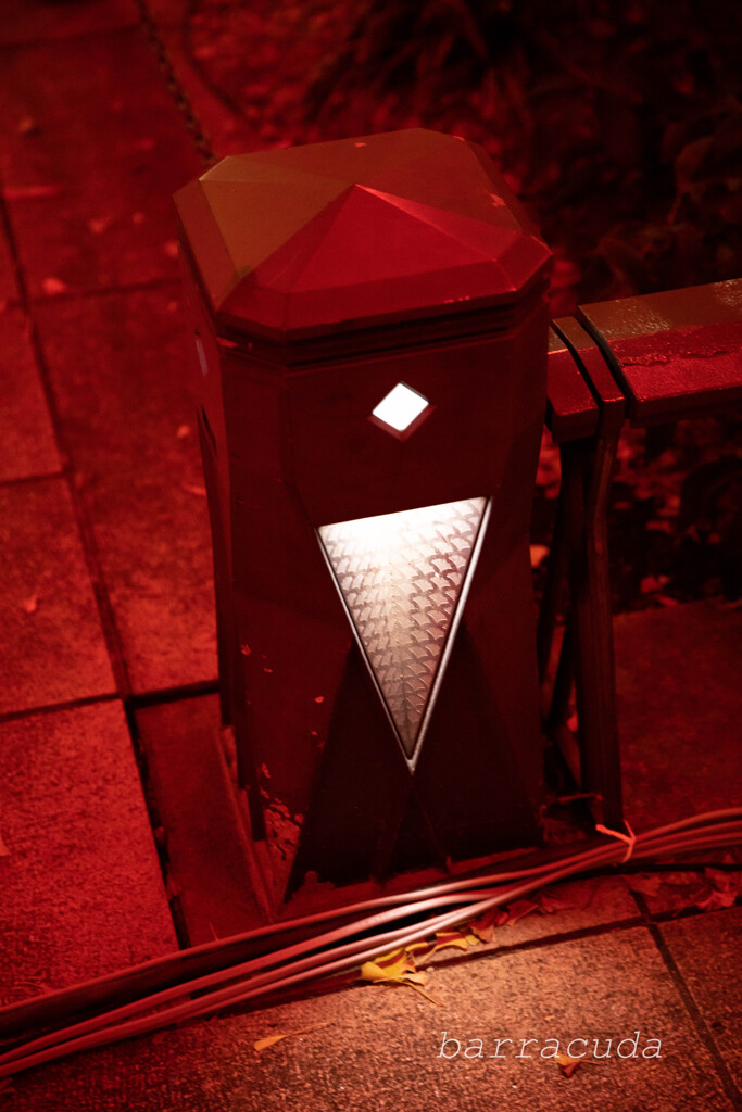 丘公園からの帰り道⑧