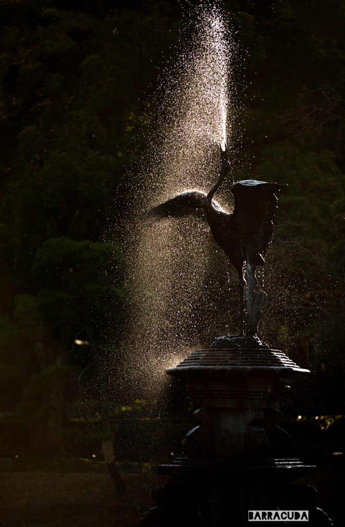 日比谷公園散策　噴水鶴