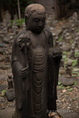 目黒・大円寺②