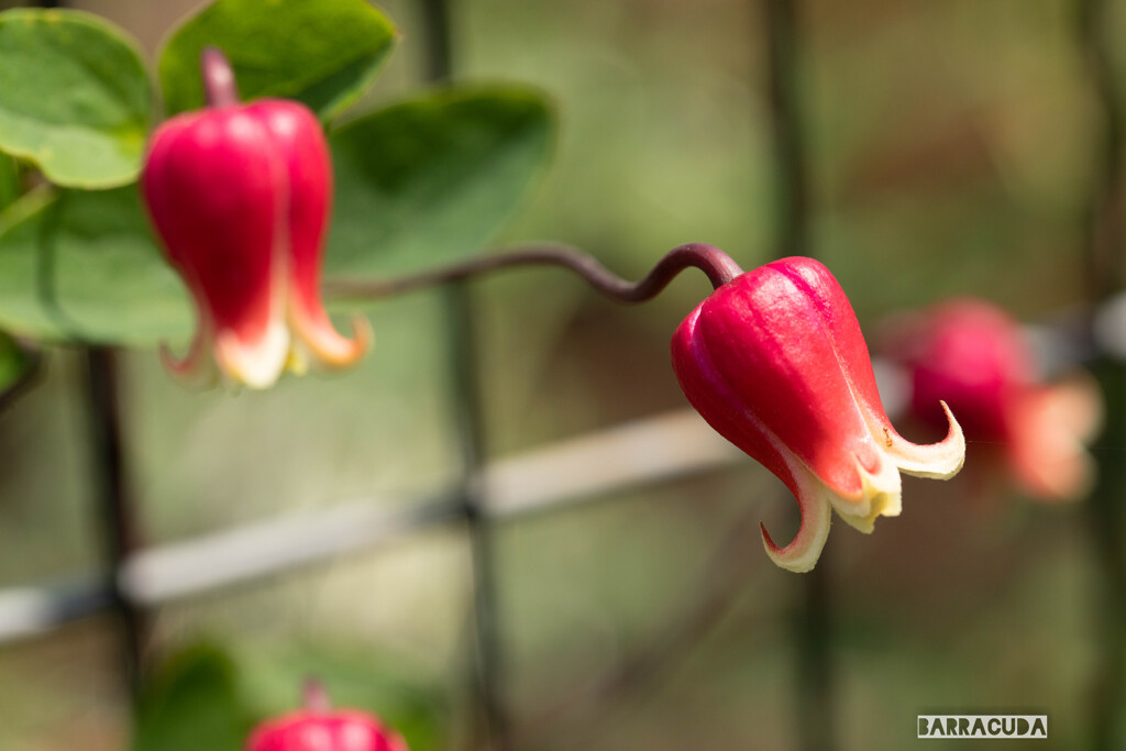 木場公園にて⑫