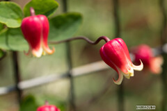 木場公園にて⑫