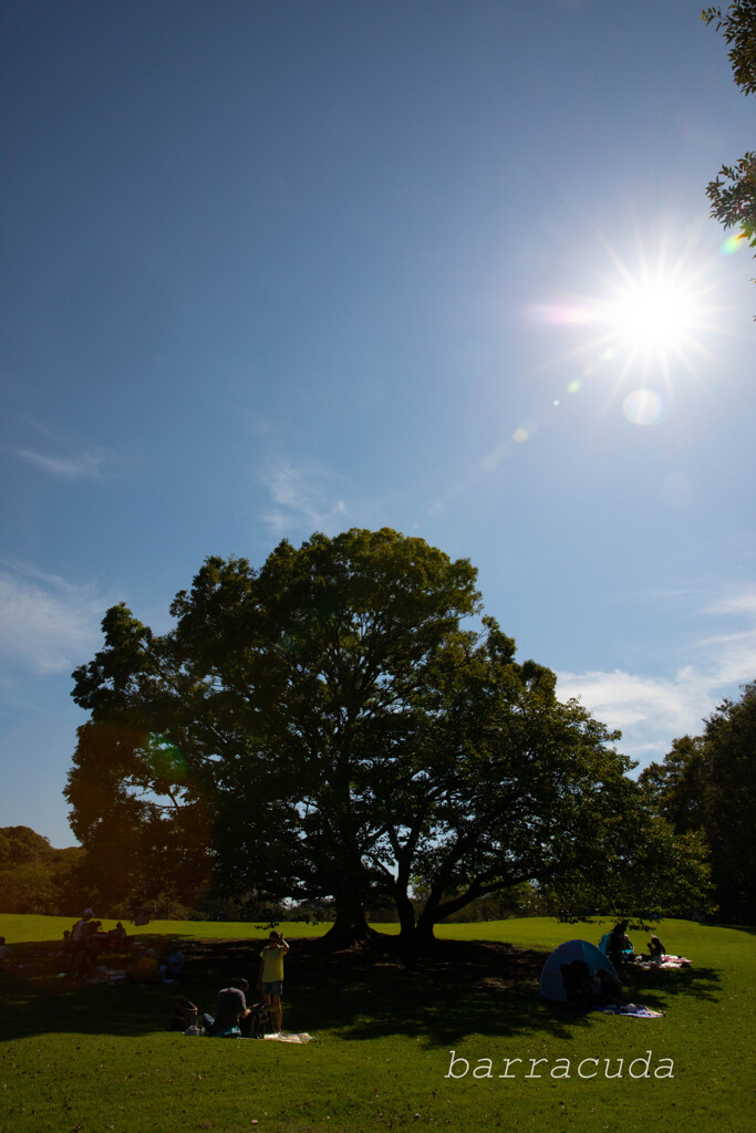 根岸森林公園シリーズ