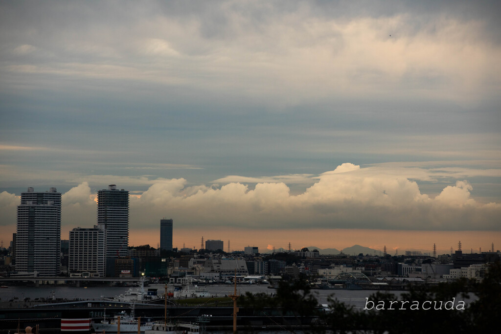 港が見える丘公園で港を見ました②