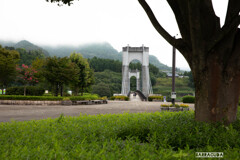 秦野市戸川公園にて⑧