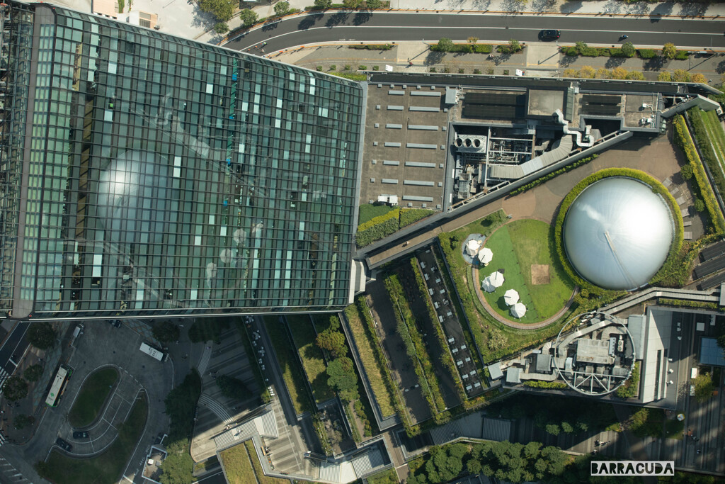 初めてのスカイツリー⑧