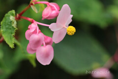 (蔵出し)3年前の