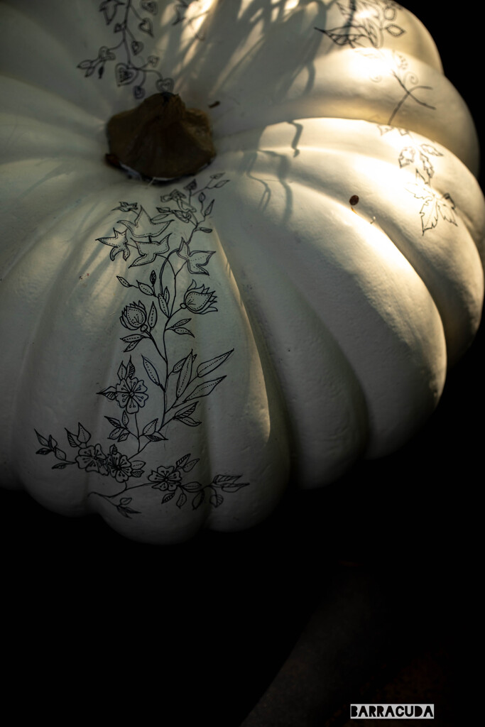 イングリッシュガーデンおまけ①