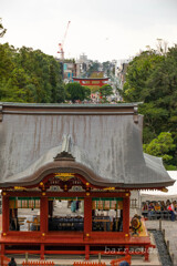 鎌倉・鶴岡八幡宮