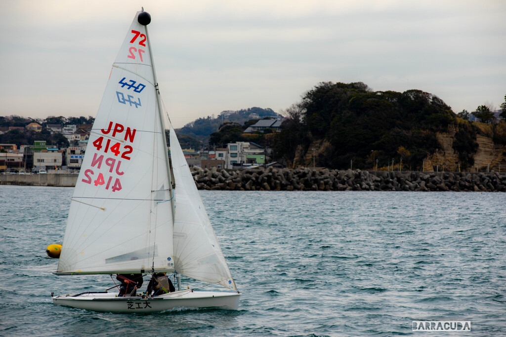 江の島ヨットハーバー②