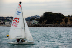江の島ヨットハーバー②