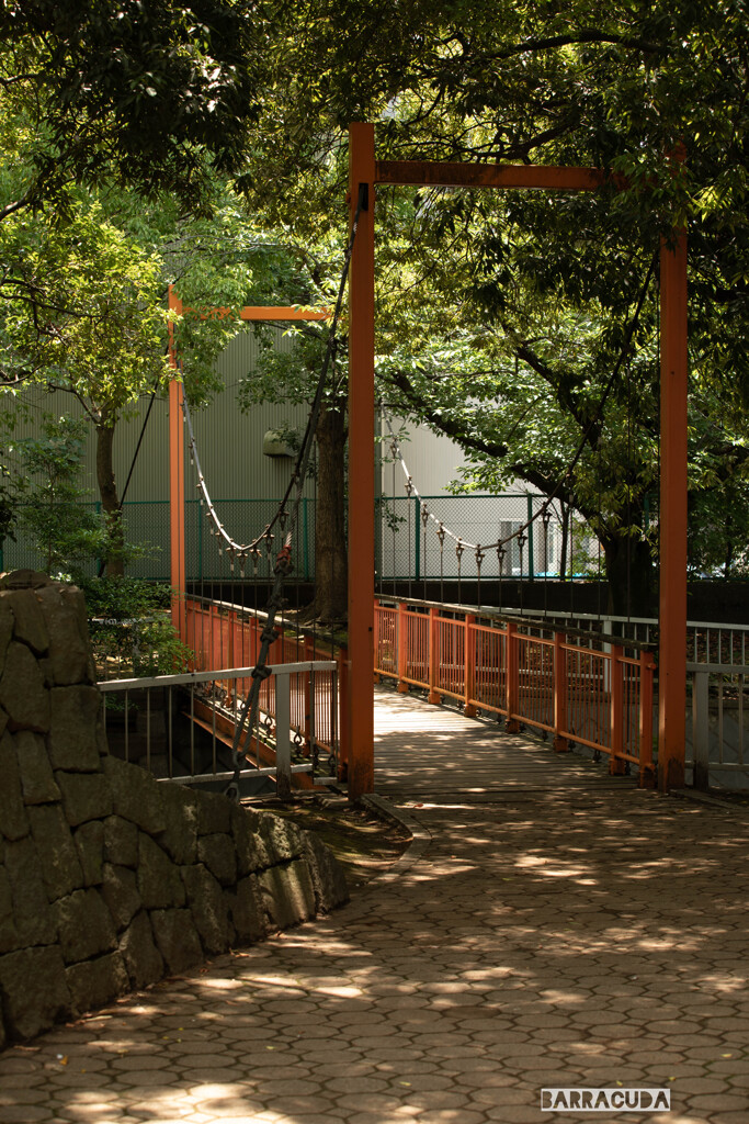 横十間川親水公園⑦　～オレンジの橋～