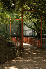 横十間川親水公園⑦ ~オレンジの橋~