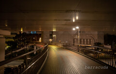 丘公園からの帰り道③