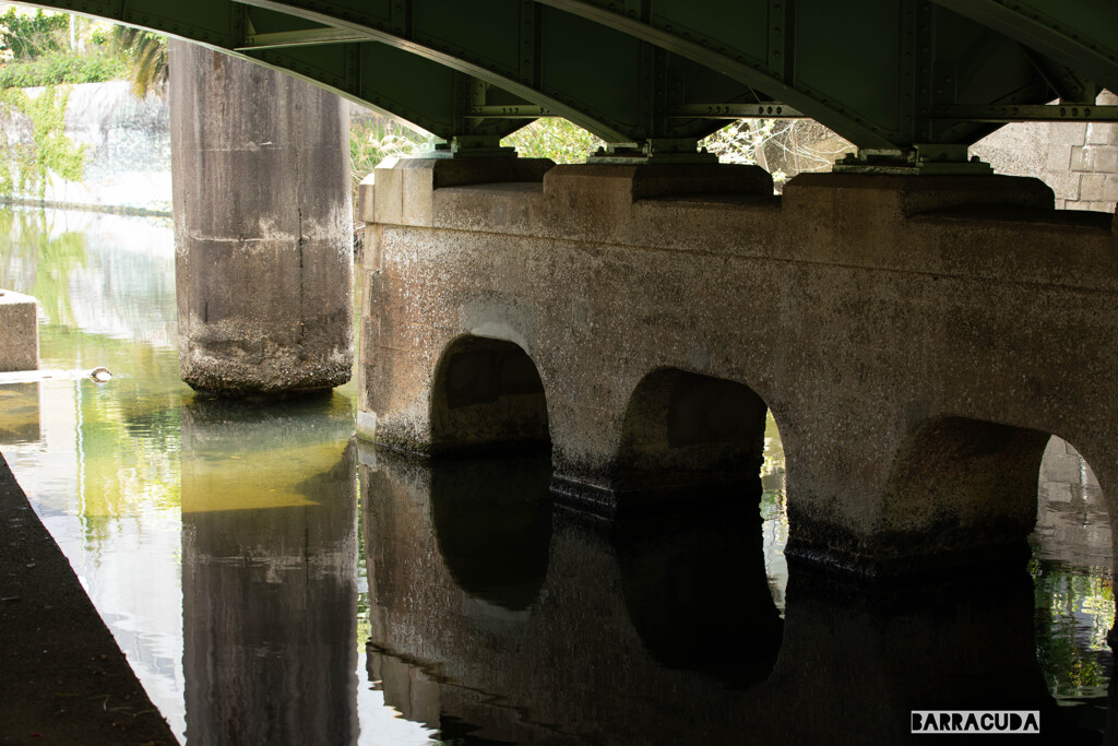 横十間川親水公園④　～輪になって～