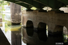 横十間川親水公園④ ~輪になって~