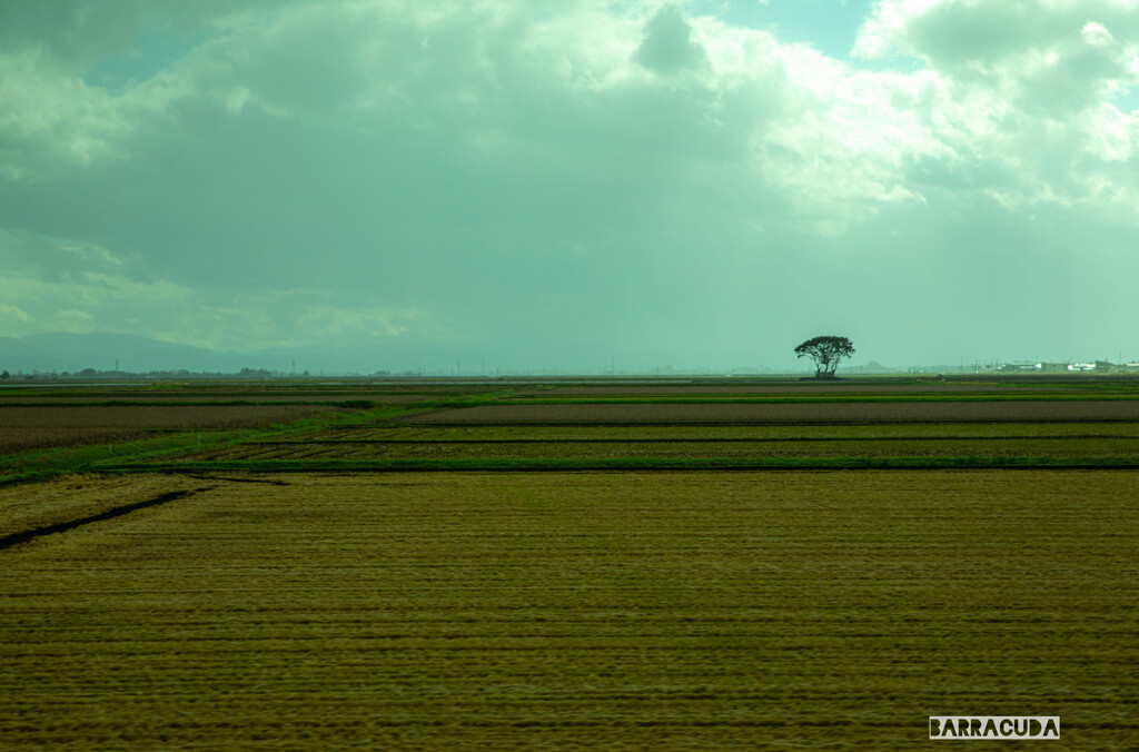 秋田及びその周辺旅行①
